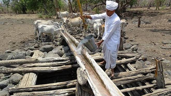 Perennially full: The kantam well of Kanchanpalli in Kumram Bheem Asifabad district.